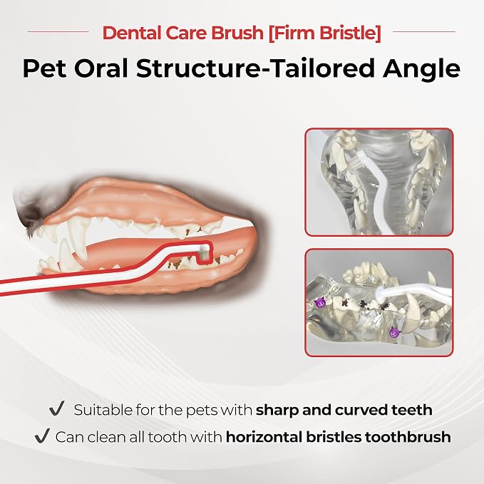 JAYU PET Dental Care Brush, Firm Bristles, 1ea | Resilient Dog Toothbrush, Cat Toothbrush, Tartar & Plaque Removal, Horizontal Head, S-Curved Body