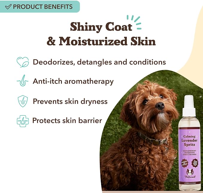 Natural Dog Company Lavender Calming Spray for Dogs - 8 oz Sprizt – Hypoallergenic Dog Deodorizing Spray with Aloe & Oatmeal – Refreshes Coat, Soothes Sensitive Skin – No Artificial Fragrance