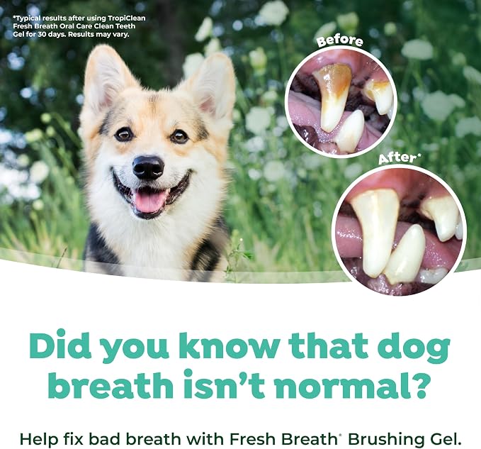 TropiClean Fresh Breath & Tartar Control Total Care System for Large Dogs | Dog Toothpaste & Brush | Dental Gel for Dogs