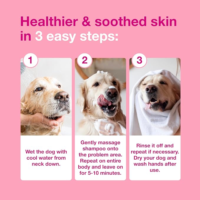 Douxo S3 Calm Dog Shampoo for Itchy Skin Relief, Dog Shampoo for Allergies and Itching, Soothes Itchy, Irritated or Allergic Skin For Dogs and Cats, 6.7 fl oz | Dog Shampoo for Allergies and Itching, Soothes Itchy, Irritated or Allergic Skin For Dogs a...