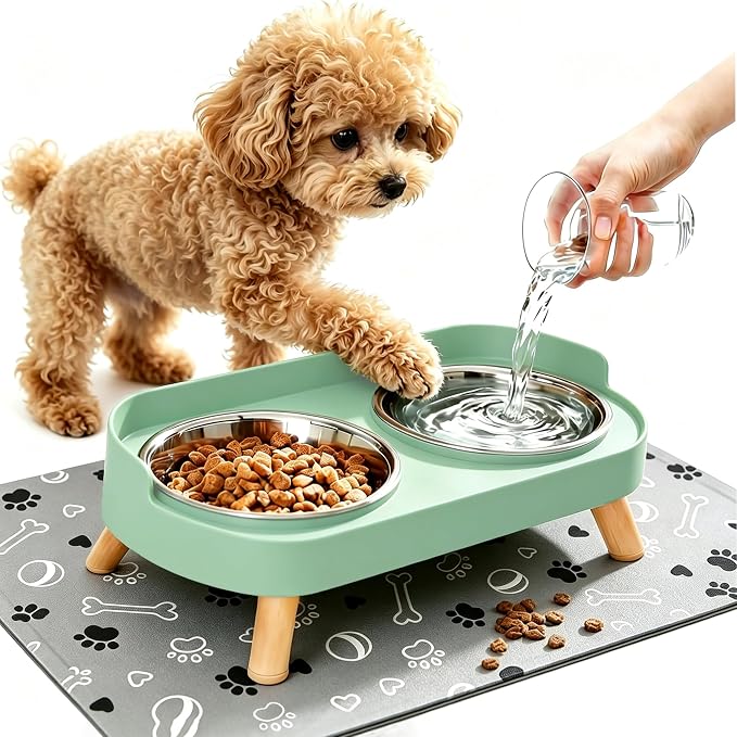 Elevated Dog Bowls with Mat, 2 Stainless Steel for Small Dogs Under 25 Lb | Raised Bowl Stand, Food & Water Set for Cats & Puppies, Splash Proof, Dishwasher Safe, Stain-Resistant Quick-Dry Mat