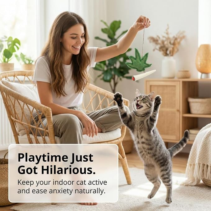 Glaciart One Catnip Joint & Leaf Cat Toy Set | Crack for Funny Kittens, Stimulating Toys for Boredom, Exercise & Play | Filled w/Organic Catnip to Excite/Calm Kitty | Organic Idea