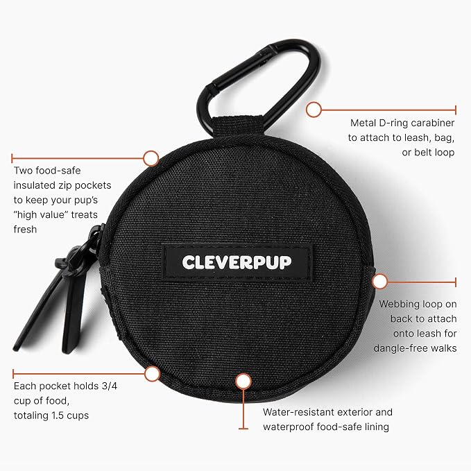 Snackpack Double Insulated Dog Treat Pouch – 1.5 Cup Capacity, 2 BPA-Free Waterproof Zipper Pockets, Carabiner for Belt/Leash – Compact Training & Travel Bag – Graphite