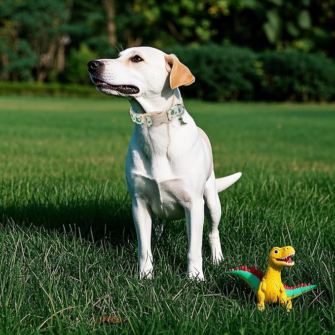 DOGWONG Dinosaur Dog Collar- Cute Summer Dog Collars Adjustable Designer Puppy Dinosaur Dog Collar for Boy Male Small Medium Large Dogs L