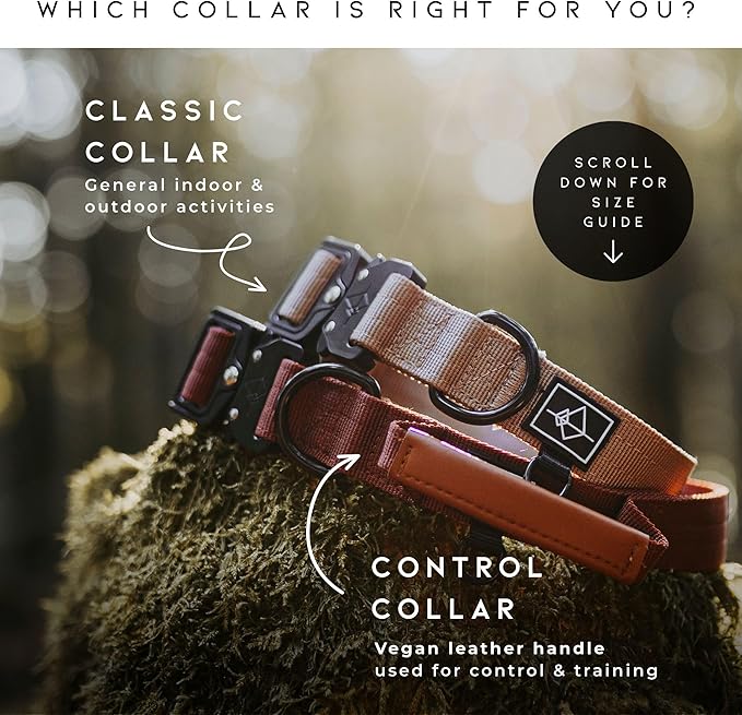 Made to ROAM Premium Dog Collar - Adjustable Heavy Duty Nylon Collar with Quick-Release Metal Buckle (Washington Rain, Classic Size 4)