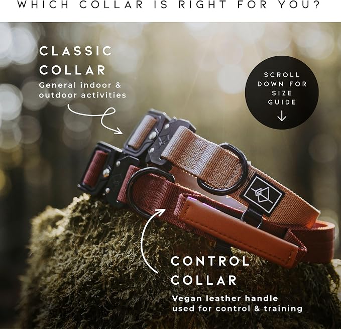 Made to ROAM Premium Explorer Control Collar - Adjustable Heavy Duty Nylon Dog Collar with Quick-Release Metal Buckle and Handle (Florida Seaside, Control Size 3)
