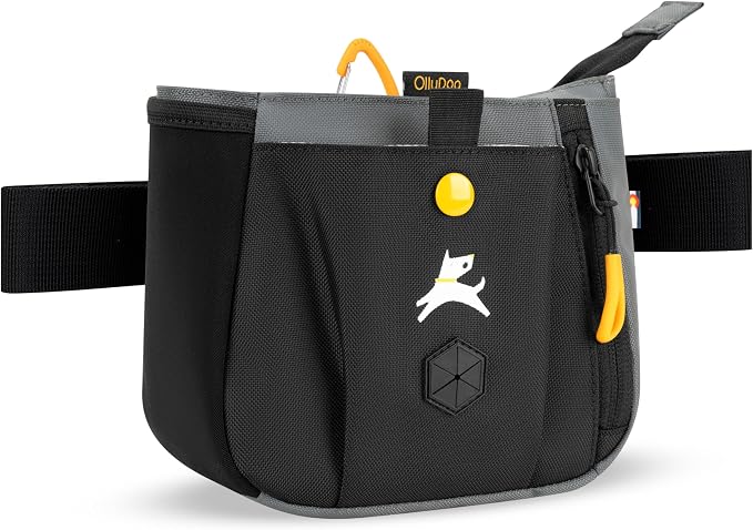 Backcountry Day Bag | Dog Training Treat Pouch | Eco-Friendly Recycled Fabric Fanny Pack with Zipper Closure, Built-in Poop Bag Dispenser & Adjustable Waist Belt (Castle Rock)