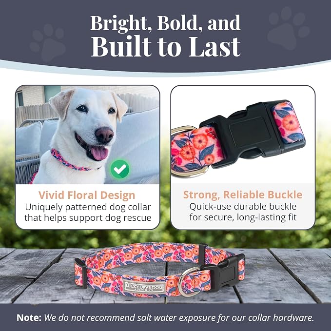 Lucky Love Dog - Adjustable Dog Collar with Easy Click Buckle for Small Ones, Durable, & Comfortable for Male & Female Dogs, Pet Collar for Puppies & Adult Dogs - Rosie, XS