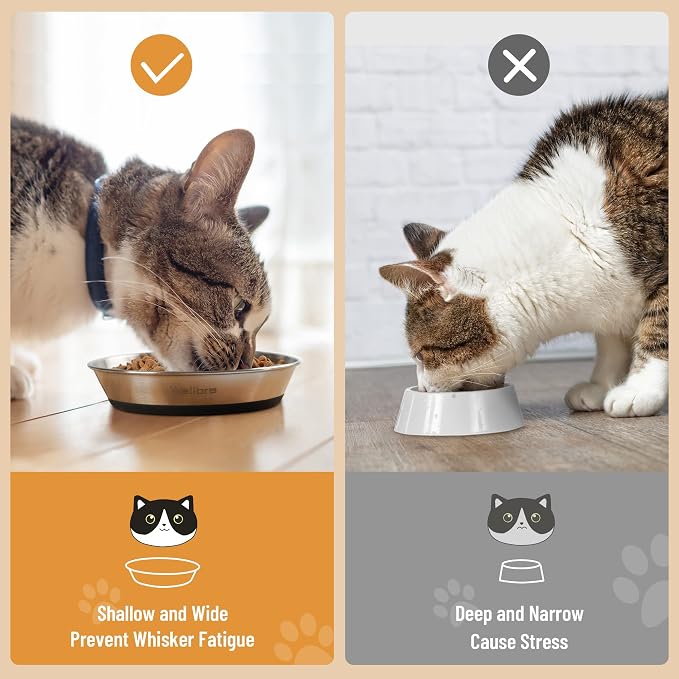 Cat Bowls, Stainless Steel Cat Bowls for Food and Water, Whisker Fatigue Shallow Non-Slip Dishes Plates for Small Dog Puppies Cats