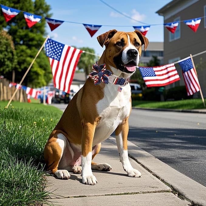 DOGWONG Ameirican Flag Dog Collar with Flower - Independence Flower Dog Collars, Adjustable Patriotic Pet Collars 4th of July Dog Collar for Small Medium Large Dogs