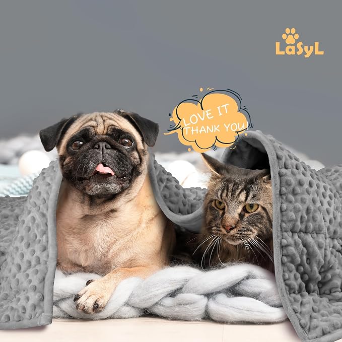 LaSyL Weighted Blanket for Pets | Thunder Blanket for Dogs Anxiety | Premium Soft Minky | Relaxation & Calming & Anti Anxiety | Used in Car, Bed, Couch | Dark Grey, Washable Medium (32"x40")