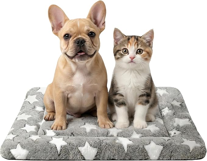 Dog Bed Mat - Soft Crate Pad for Kennel, Durable Pet Bed for Small Dogs & Cats - Comfort Support for Pet Crate, Cage, House