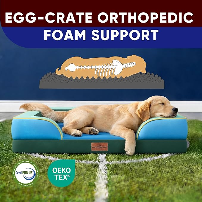 Comfort Expression Orthopedic Dog Bed for Extra Large Dogs with Bolster | Waterproof Dog Couch Bed with Washable Cover & Non-Slip Bottom, Supportive Egg Crate Foam XL Pet Bed, 42x30 Inch