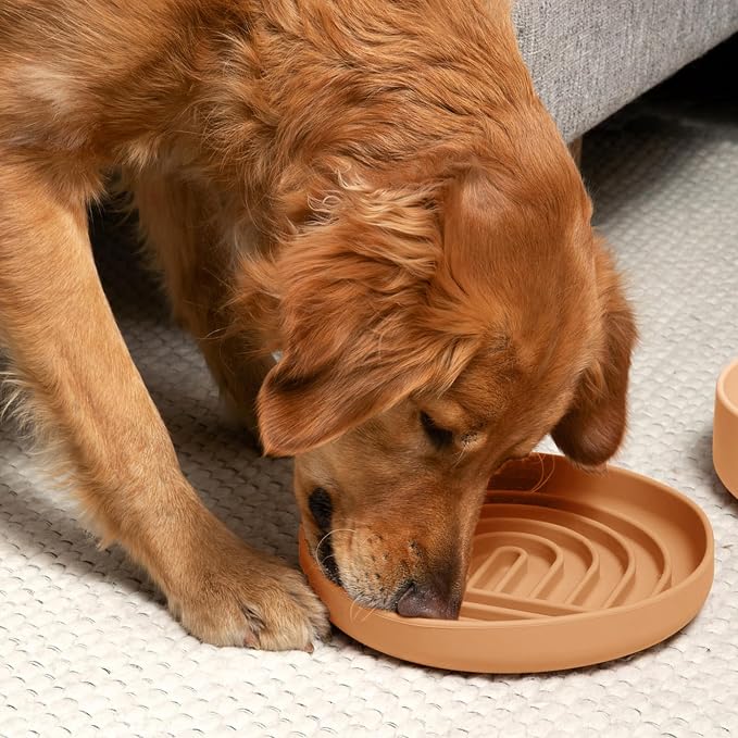Should We Go? Slow Feeder Dog Bowls - Large Size Silicone Slow Eating Dog Bowl for Puppies & Dogs with Suction Cup -Dishwasher-Safe,Lick Mat Design,Reduces Gulping,for All Breeds,9.5”x1.5”-Terracotta