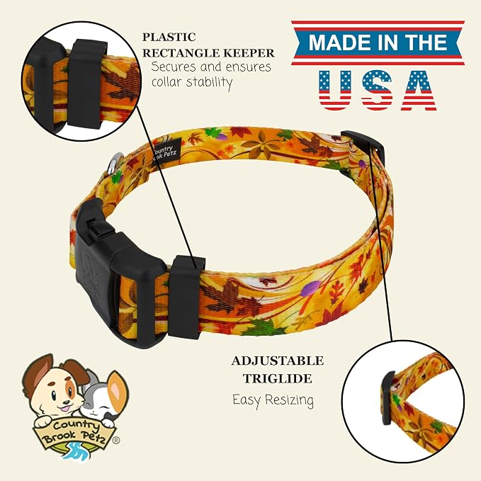 Country Brook Petz - Autumn Wind Everyday Dog Collar - Made in the U.S.A. - Awesome Autumn Collection Featuring Design You Will Fall for (1 Inch, Extra Large)