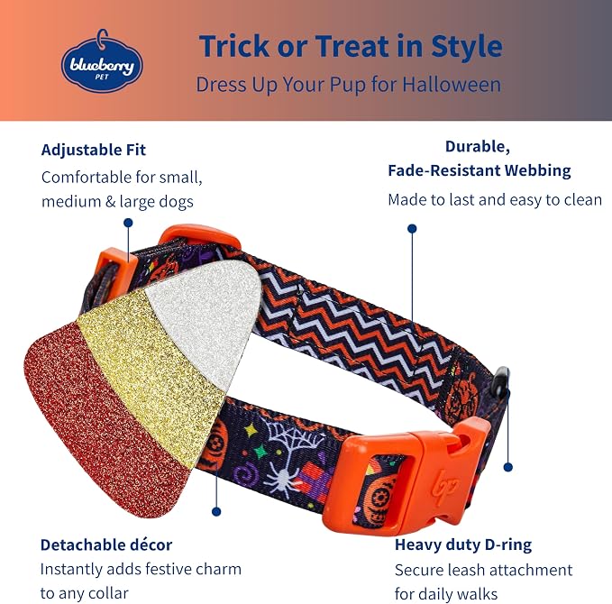 Blueberry Pet Halloween Candy Corn Adjustable Dog Collar with Detachable Glitter Accessory, Medium, Neck 14.5"-20"