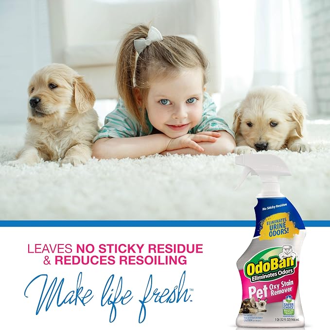 OdoBan Pet Solutions Oxy Stain Remover, Pet Stain Eliminator, Made in the USA, 4-Pack, 32 Ounce Spray Each