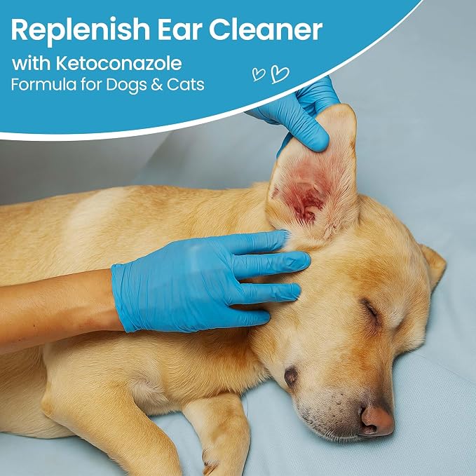 Replenish Otic Ear Cleaning Solution for Dogs, Antiseptic Ear Flush, 8 oz | Dr. Rachel's Antiseptic Ear Cleaner for Dogs & Cats – Advanced Ear Flush for Yeast Treatment and Odor Control – 8 oz