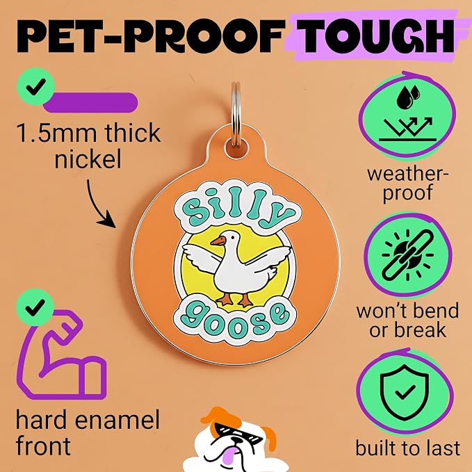 Bad Tags Personalized Dog and Cat ID Tags in 25+ Designs and 2 Sizes - 5 Lines of Custom Engraved Text - Funny Cute Personalized Pet Tags (Silly Goose, Small (1 inch))