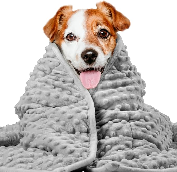 LaSyL Weighted Blanket for Pets | Thunder Blanket for Dogs Anxiety | Premium Soft Minky | Relaxation & Calming & Anti Anxiety | Used in Car, Bed, Couch | Dark Grey, Washable Small (24"x32")