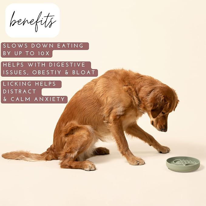 Should We Go? Slow Feeder Dog Bowls - Medium Size Silicone Slow Eating Dog Bowl for Puppies & Dogs with Suction Cup -Dishwasher-Safe, Lick Mat Design, Reduces Gulping,for All Breeds,7.5”x1.5”- Sage