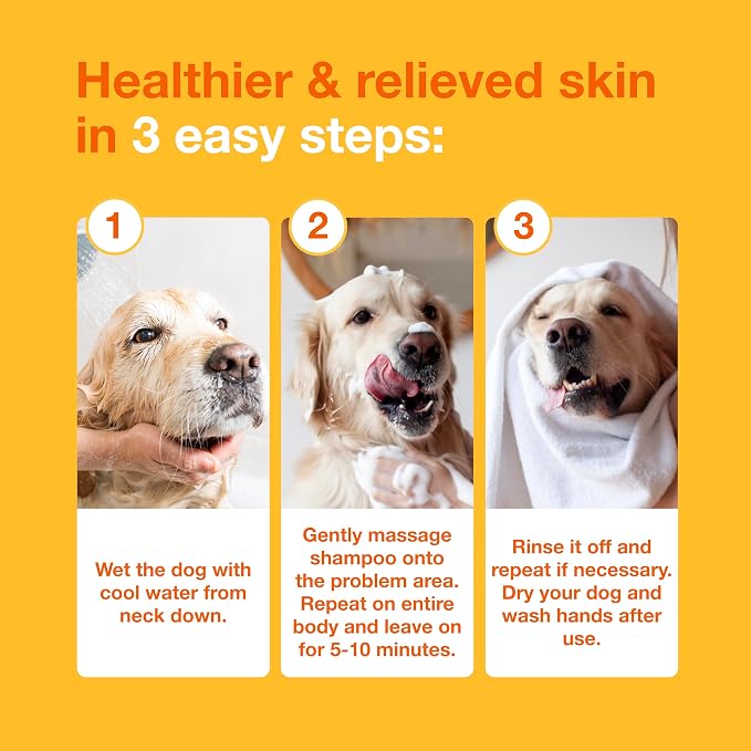 Douxo S3 PYO Medicated Dog Shampoo with 3% Chlorhexidine for Dogs – Antibacterial & Antiseptic Yeast Infection Treatment For Dogs & Cats, Clinically Proven, 6.7 fl oz
