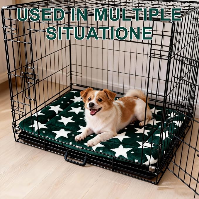 Dog Bed Mat – Soft & Comfortable Dog Kennel Pad for Crate – Durable Crate Bed & Mat for Dogs & Cats – Ideal for Crate, Kennel, and Home Use (Big&Little Stars Green, M(30"*20"*1.5"))