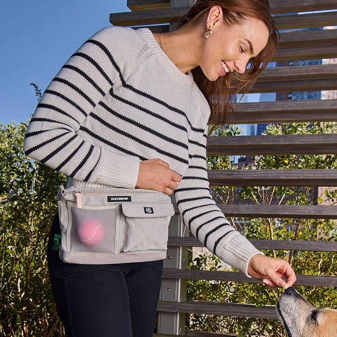 Dog Walk & Train Sling Bag - Hands-Free Dog Walking & Training Bag with Treat Pouch, Poop Bag Holder & Phone Pocket - Crossbody or Fanny Pack, Adjustable Strap - Sand