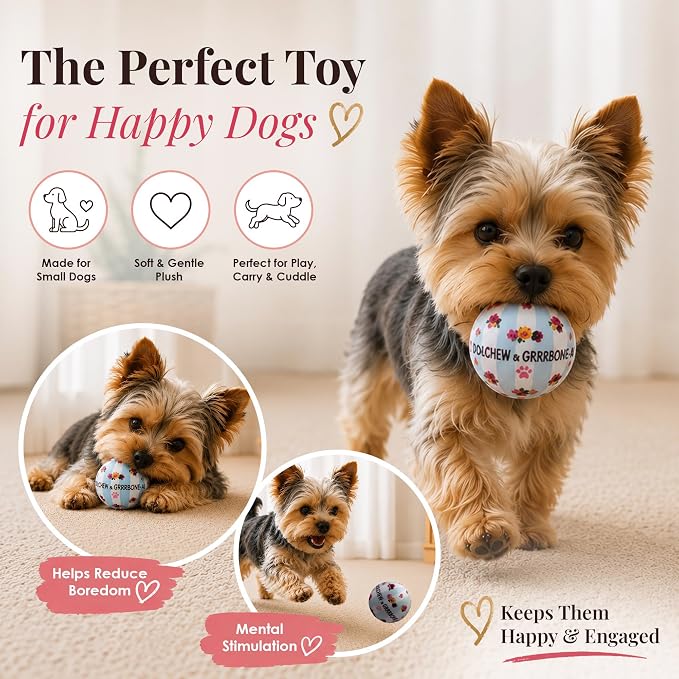 Dog Diggin Designs Dolchew & Grrrbone Plush Squeaky Dog Toy Ball | Luxury-Inspired Parody Designer Ball with Squeaker, Soft Plush Fetch Dog Toy – Prêt-à-Porter Play!