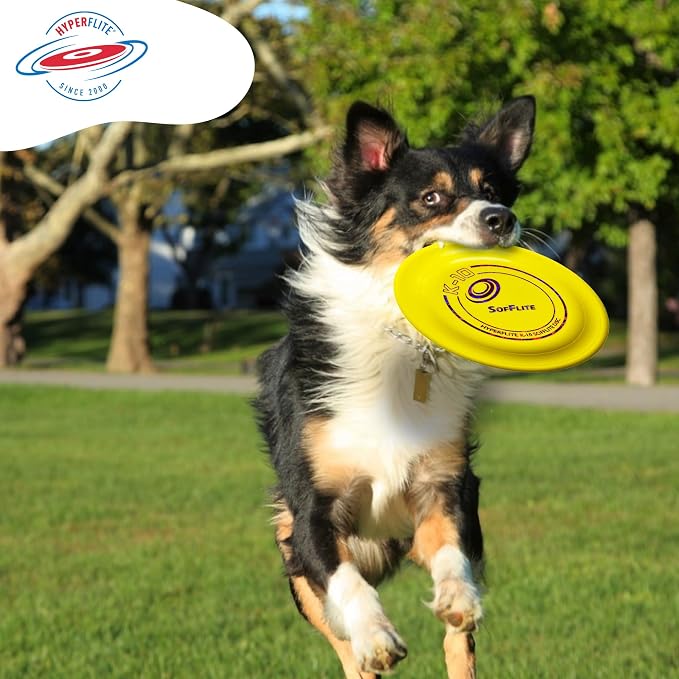 Hyperflite K-10 SofFlite Soft Dog Flying Disc, 2 Pack, Medium-Large | Ultra Soft, Competition Approved, 2 Pack | 8.75-inch, 150g | Medium & Large Dogs | Yellow