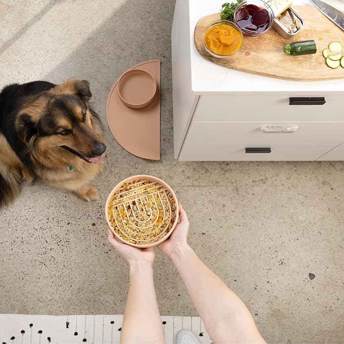 Should We Go? Slow Feeder Dog Bowls - Medium Size Silicone Slow Eating Dog Bowl for Puppies & Dogs with Suction Cup -Dishwasher-Safe, Lick Mat Design, Reduces Gulping,for All Breeds,7.5”x1.5”- Blush