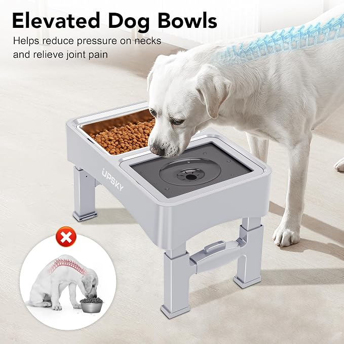 UPSKY 3-in-1 Elevated Dog Bowls Set with 4 Height Adjustable Stand, White | 304 Stainless Steel Bowl, No Spill Water Bowl, Slow Food Bowl, Anti-Slip, Dishwasher Safe, Suitable for Small Medium Dogs