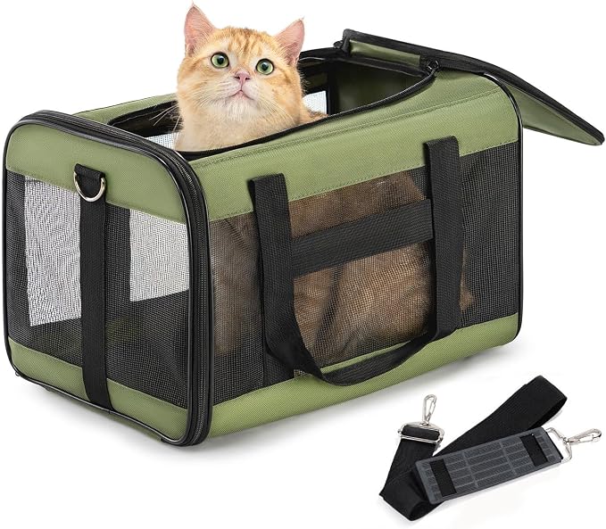 Conlun Cat Carrier Airline Approved, Soft-Sided Dog Carrier with Inner Safety Leash, Pet Transport Carrier for Small-Medium Cats Puppies up to 15 Lbs, Collapsible Travel Kitten Carrier Bag -Green M