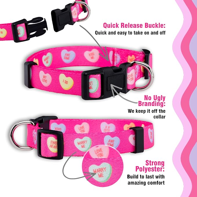 Native Pup Valentine’s Dog Collar- Valentines Day Pet Collars- Valentine Girly Hearts- Pink Red Heart- Cute Boy Girl Puppy Gift- Adjustable for Small, Medium, Large Breeds (Candy Hearts, Large)