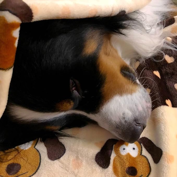 SmartPetLove Snuggle Puppy Blanket for Pets - Warm & Cozy Dog Blanket for Small Dogs - Machine Washable Dog Blanket