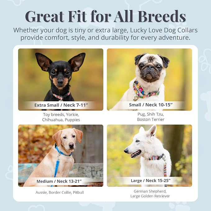 Lucky Love Dog - Adjustable Dog Collar with Easy Click Buckle for Small Dogs, Durable, & Comfortable for Male & Female Dogs, Pet Collar for Puppies & Adult Ones - Penny, XS
