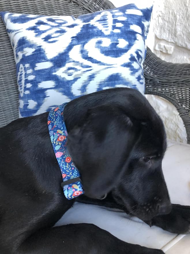 Lucky Love Dog - Adjustable Dog Collar with Easy Click Buckle for Large Dogs, Durable, & Comfortable for Male & Female Dogs, Pet Collar for Puppies & Adult Ones - Sweet Holiday, Large