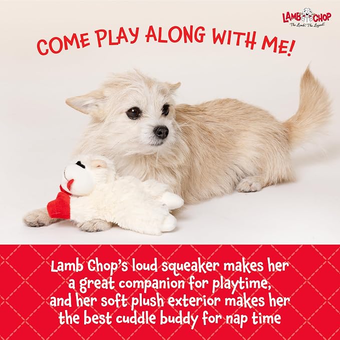 Multipet Lamb Chop Dog Plush Toy - Squeaky Toy for All Dogs - Extra Soft Plush - Stuffed Animal Dog Toy for Cuddling & Playing - Cute Pet Toy (6", Cream)