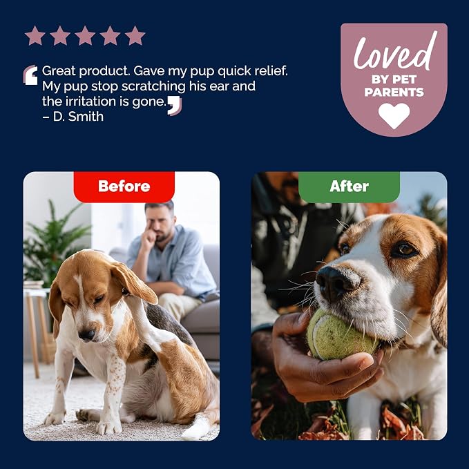 Vetnique Oticbliss Medicated Ear Drops for Dogs & Cats, Infection & Allergy (Allergy Ear Drops) | Medicated Otic Drops in Two Formulas, MicroSilver BG for Infection & 1% Hydrocortisone With Chitosan for Allergy Itch Relief