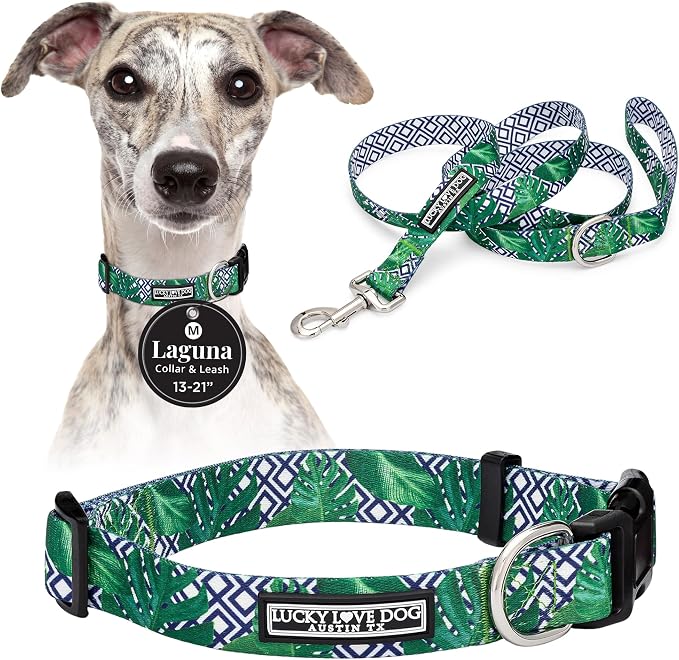 Lucky Love Dog Collar and Leash Set, Beautiful & Vivid Patterns, Easy On & Off Clasp Accessory (Blue Laguna, M Combo)