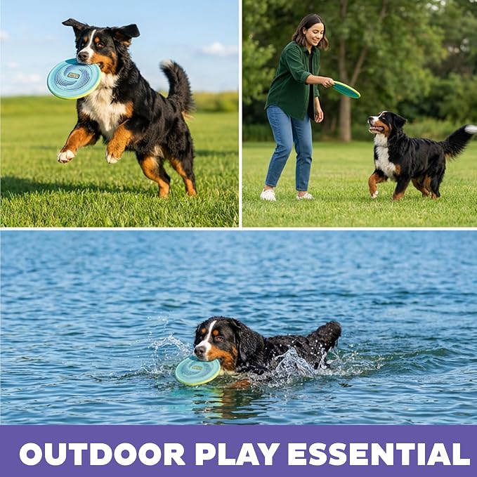 Outward Hound FlyFetch Disc Dog Toy, Aerodynamic for Fetch, Lightweight Foam & Durable Rubber, Floats in Water, All Breeds, 8.3"
