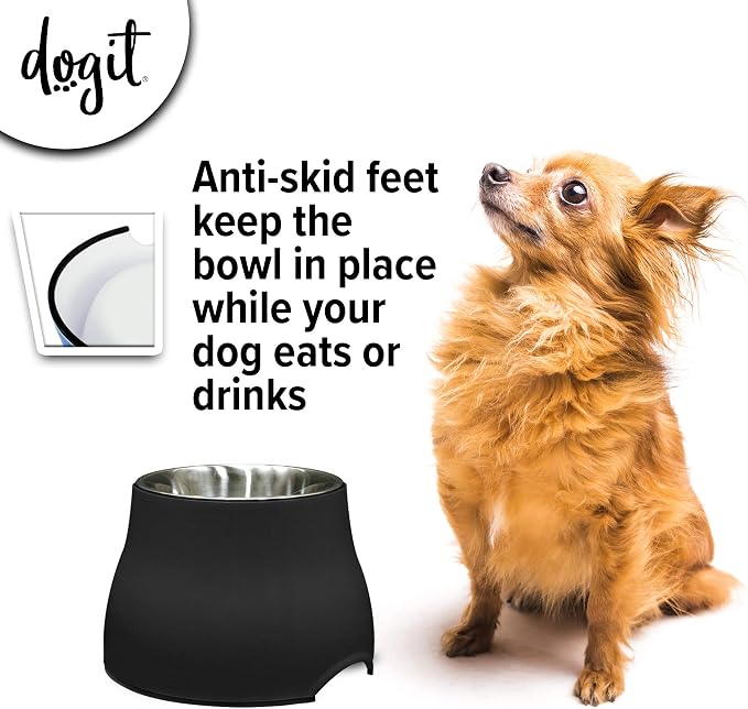 Dogit Elevated Dog Bowl, Stainless Steel Dog Food and Water Bowl for Small Dogs, Black, 73744