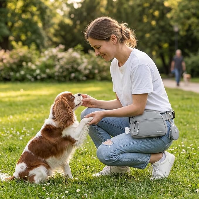 Dog Treat Pouch Pet Training Walking Fanny Pack with Built-in Poop Bag Dispenser & Waste Bag Holder | Stylish Puppy Training Essentials Supplies | Free Dog Clicker (Grey)