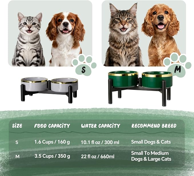 Elevated Ceramic Dog Bowl Set - Double Dishes with Stainless Steel Stand – Raised Feeding Bowls for Cats and Small Dogs - Food & Water Set - 5" / 1.6 Cups (160 g / 300 ml) - Gray
