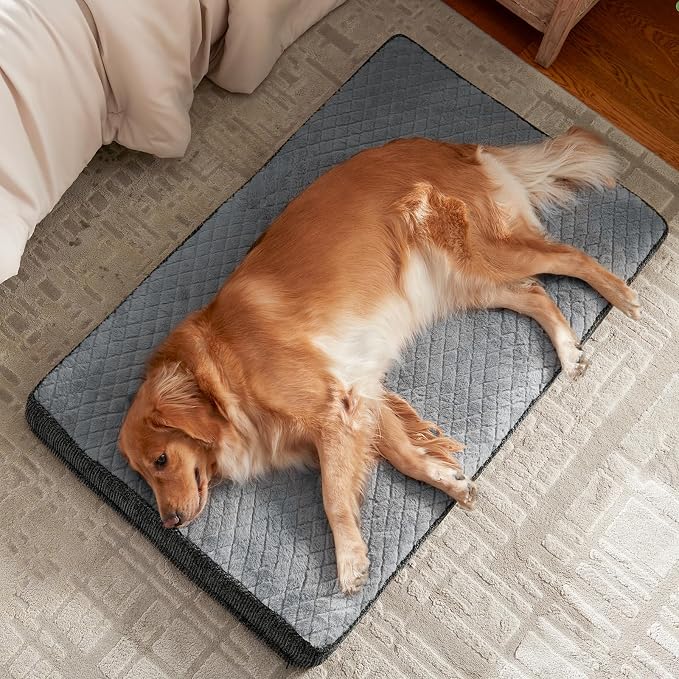 JOEJOY Orthopedic Dog Bed for Small Dogs, Washable Dog Crate Bed Small Sized with Removable Cover, Egg Memory Foam Pet Beds, Light Grey, 23"x17"