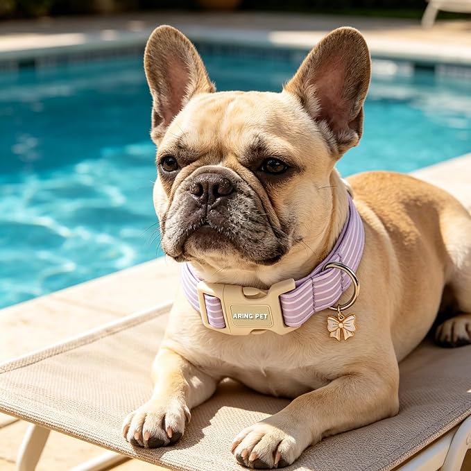 ARING PET Stripe Dog Collar, Cute Spring Summer Purple Stripe Pet Collars with Bow Charm for Puppy Small Medium Large Boy Girl Dogs, for Daily Outdoor Walking Beach Stroll-S