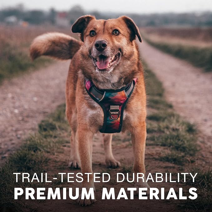 Embark Adventure Small Dog Harness – No-Pull, Reflective Trim, Military-Grade Nylon, Front Clip with Gel-Lined Handle, Soft & Padded Puppy Harness