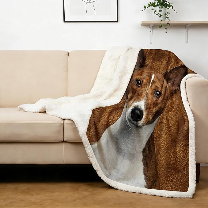 BlessLiving Basenji Throw Soft Blanket Sherpa Fleece Lined Blanket Pet and Dog Lovers Home Throw Blankets (Twin, 60 x 80 Inches)