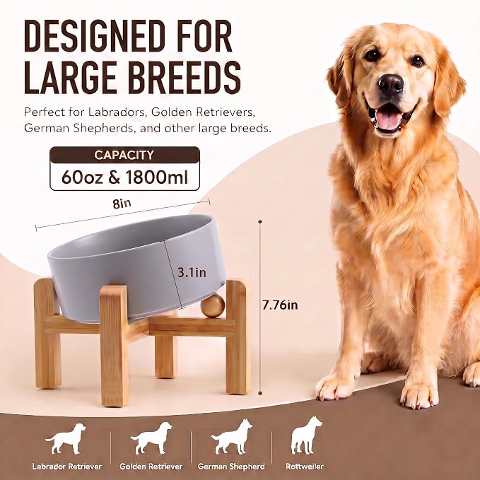 hjn Elevated Ceramic Dog Bowl 15°Slanted Raised Dog Bowl with Bamboo Stand for Small Medium Dogs and Cats, Pet Feeder -7.6-Cup (1800ml)-Gray