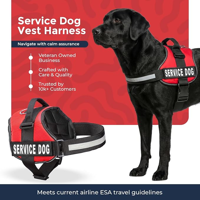 Industrial Puppy Service Dog Vest Harness - Durable & Adjustable Vest for Dog with Reflective Straps, Removable Patches, 50 ADA Cards, Handle & D-Ring, Travel and Daily Use,Bright Red, Large 27"-33"